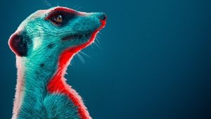 undefined Images